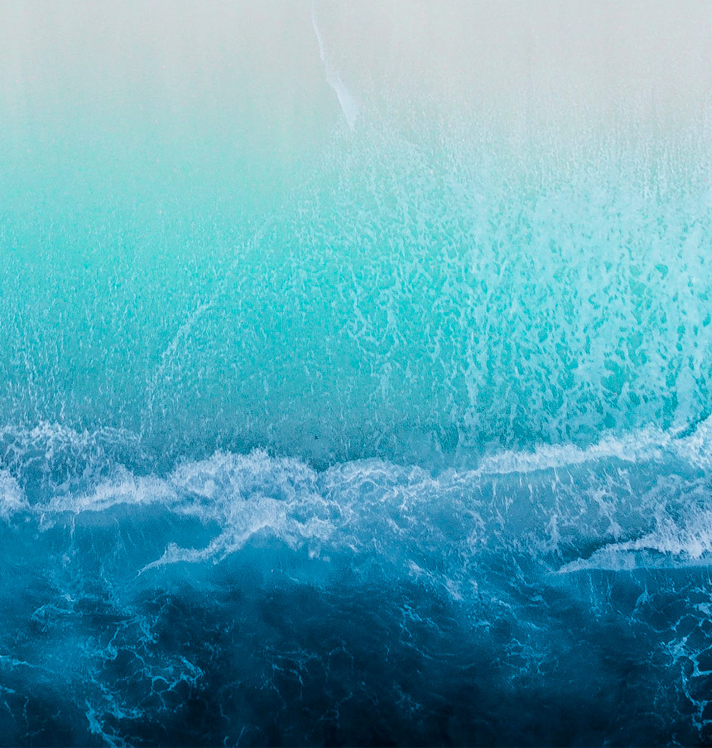 .blue – The search engine for ocean restoration